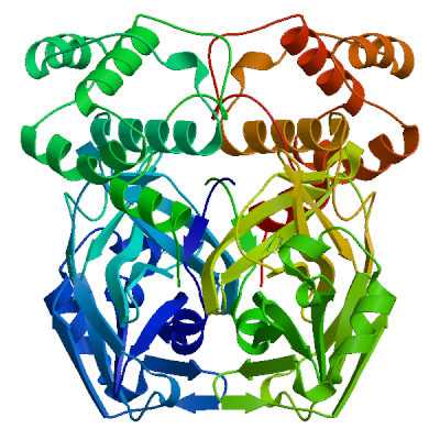 Click to show / hide model 02 in 3D viewer