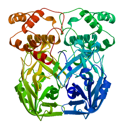 Click to show / hide model 03 in 3D viewer