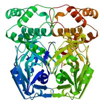 Click to show / hide model 04 in 3D viewer