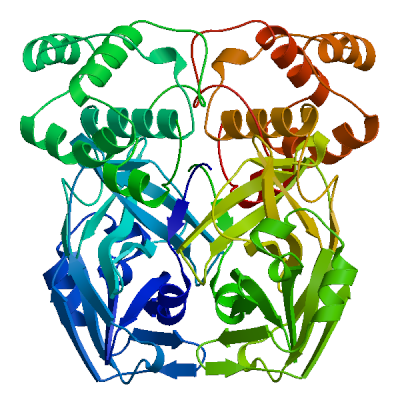 Click to show / hide model 05 in 3D viewer