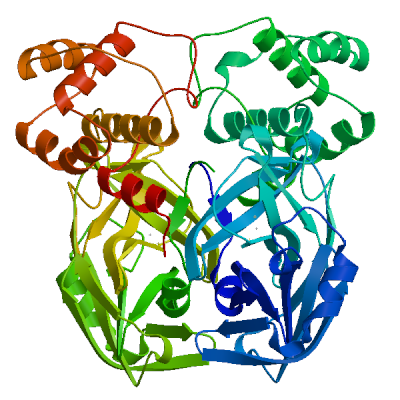 Click to show / hide model 06 in 3D viewer