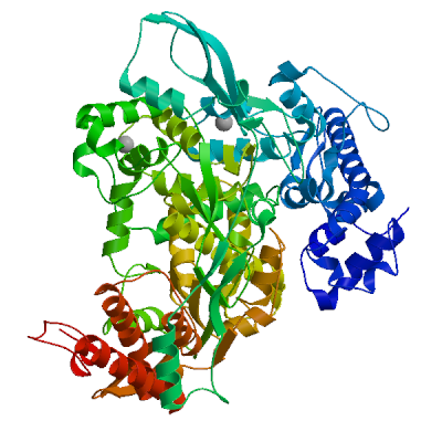 Click to show / hide model 01 in 3D viewer