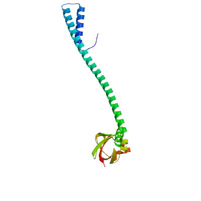 Click to show / hide model 01 in 3D viewer