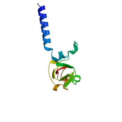 Click to show / hide model 03 in 3D viewer