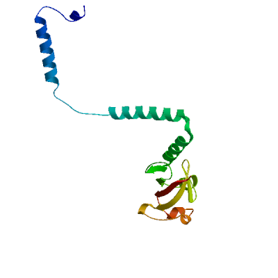 Click to show / hide model 04 in 3D viewer